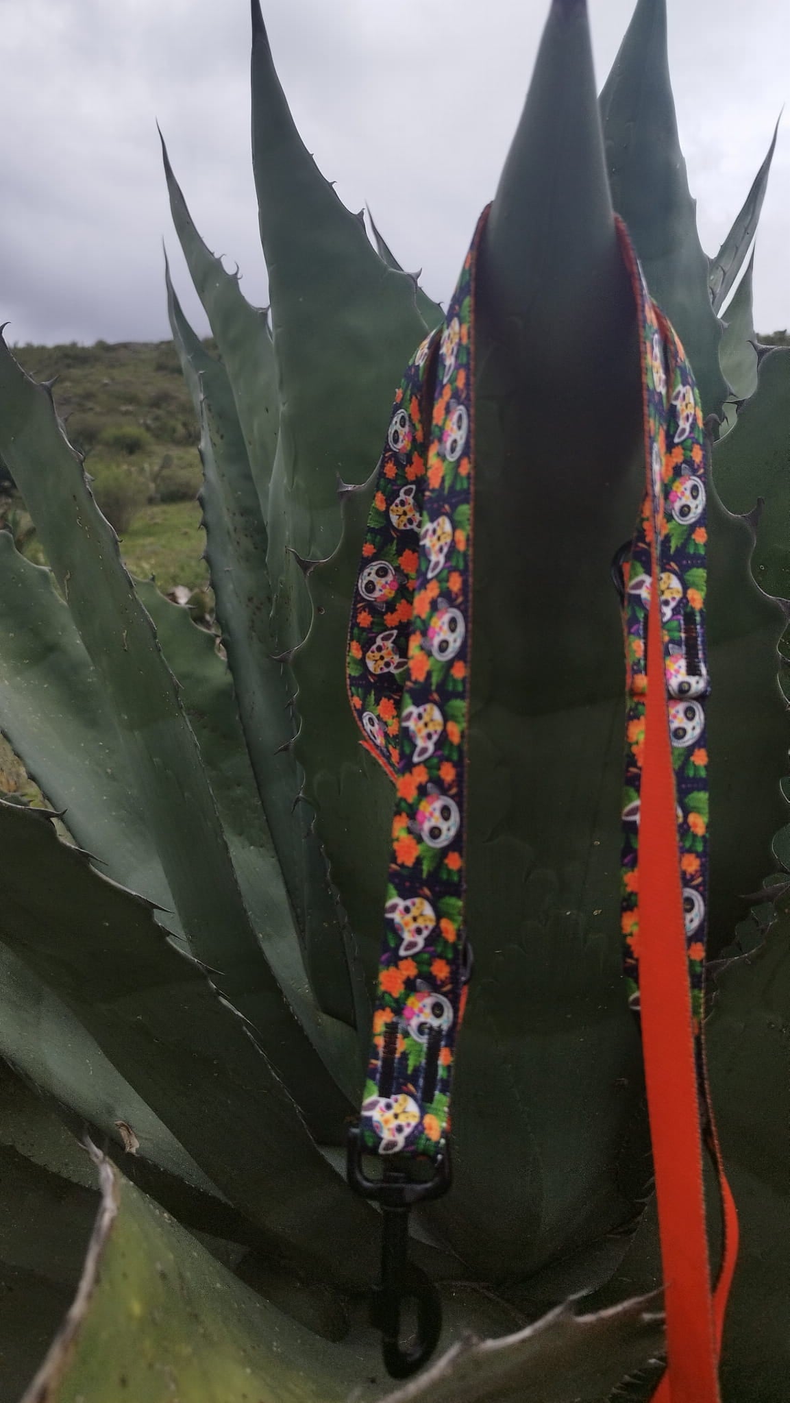 Lesă reglabilă City Chiapas