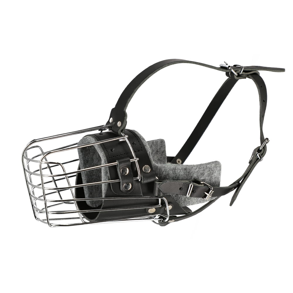 Dingo Gear – Botniță de luptă și antrenament – pentru câini de serviciu și de lucru