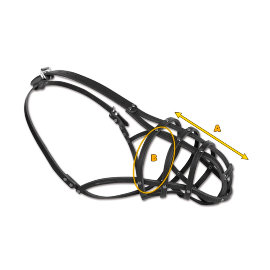 Botniță nituată pentru câini