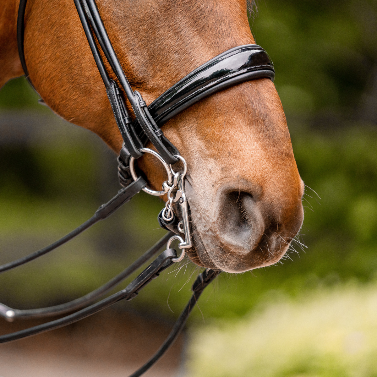 Bridon Dynamic RS 14 mm, cu două articulații