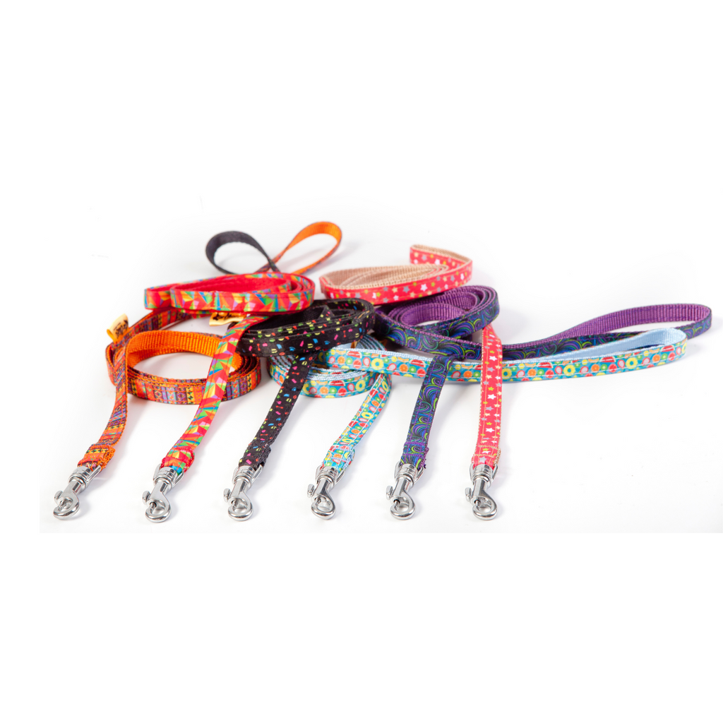 Lesă pentru câini de talie mică și pisici America