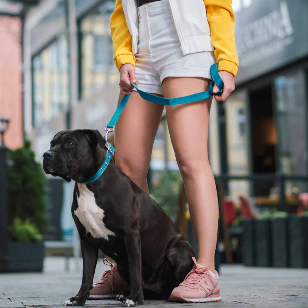 Lesă extensibilă din bandă Twilight Silver