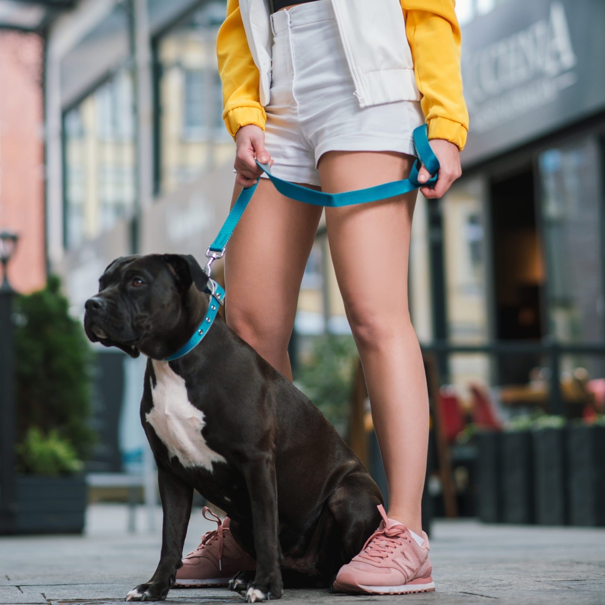 Lesă extensibilă din bandă Twilight Silver