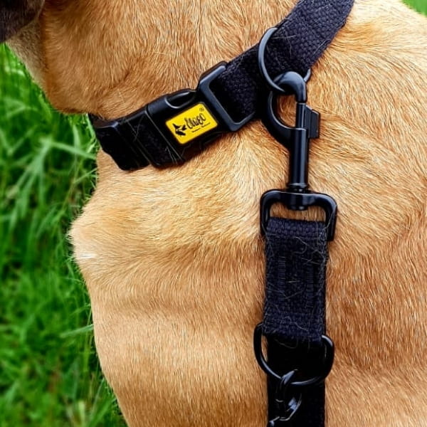 Lesă extensibilă din bandă de bumbac pentru câini