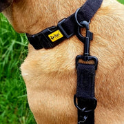 Lesă reglabilă din bandă de bumbac pentru câini