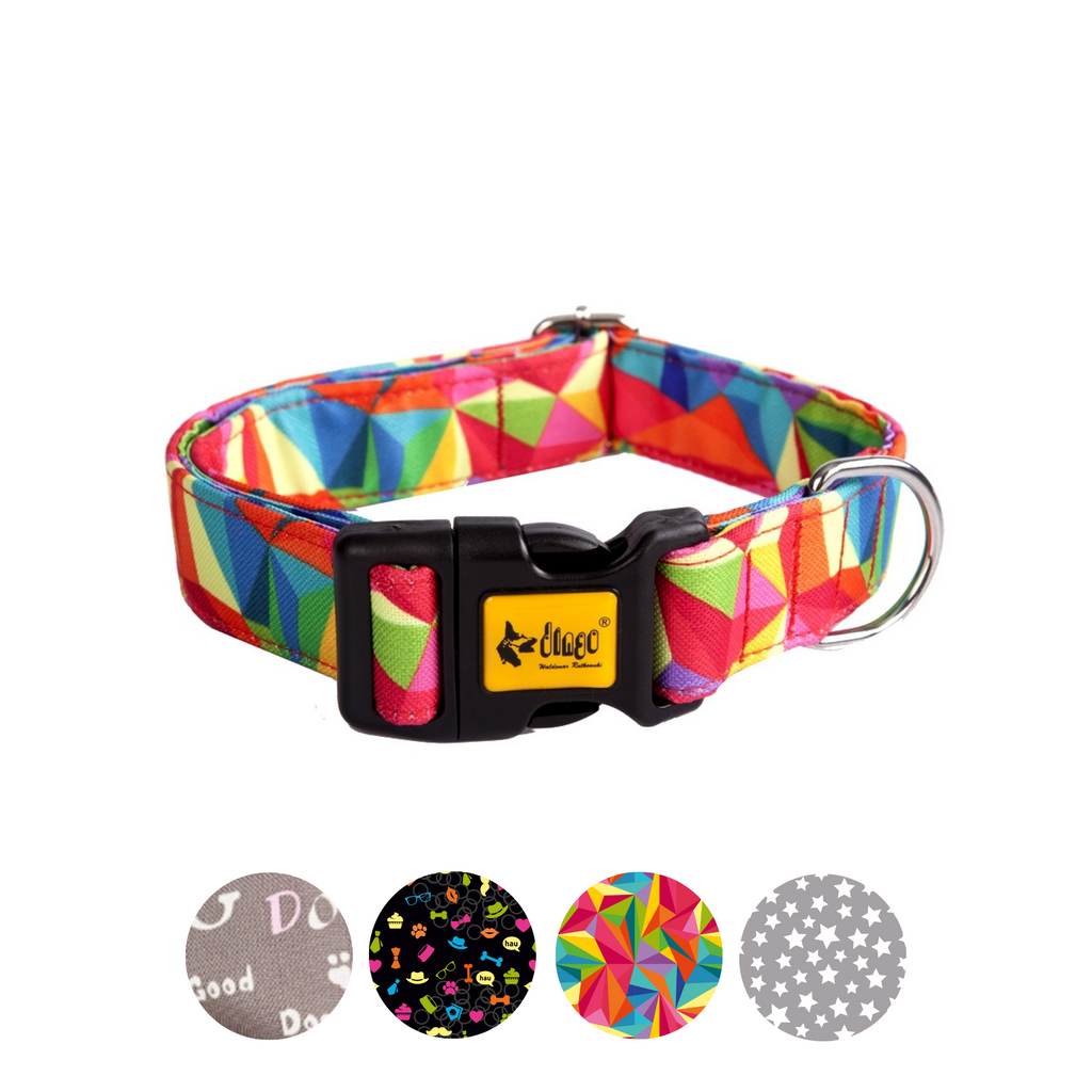 Zgardă pentru câine america