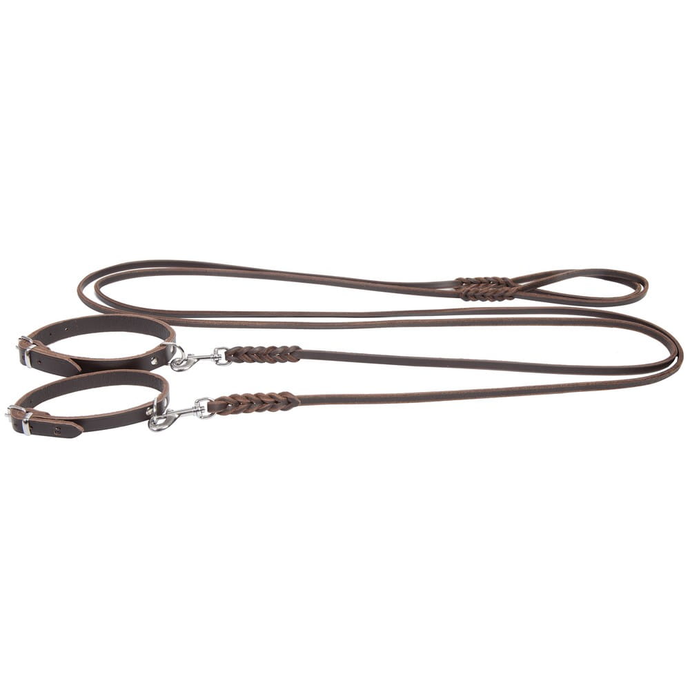 Dingo Gear – set zgardă și lesă din piele puppy