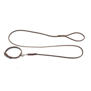 Dingo Gear – set zgardă și lesă din piele puppy