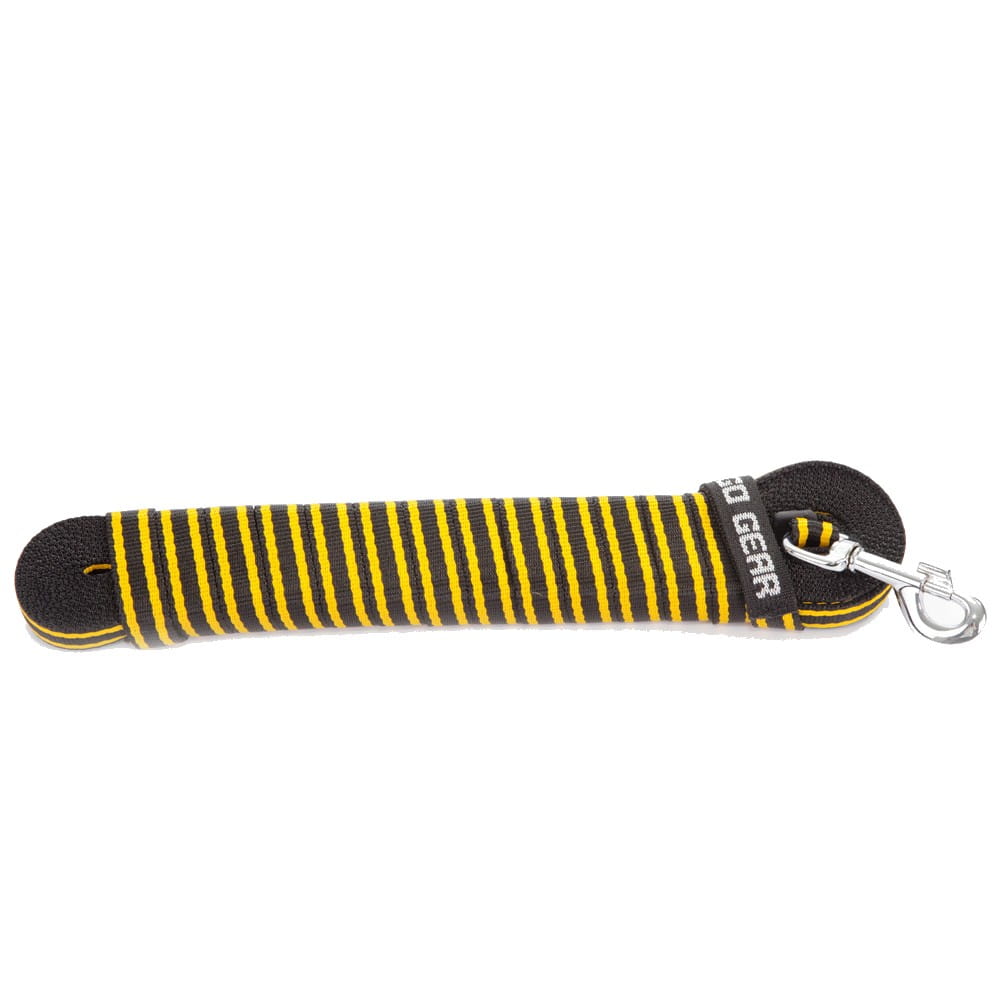 Dingo Gear – Lesă de antrenament din bandă de polipropilenă, fără mâner – 5 m / 10,5 m