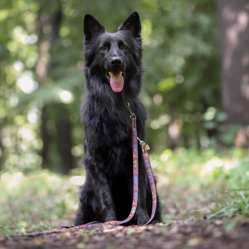 Lesă extensibilă America Indiana