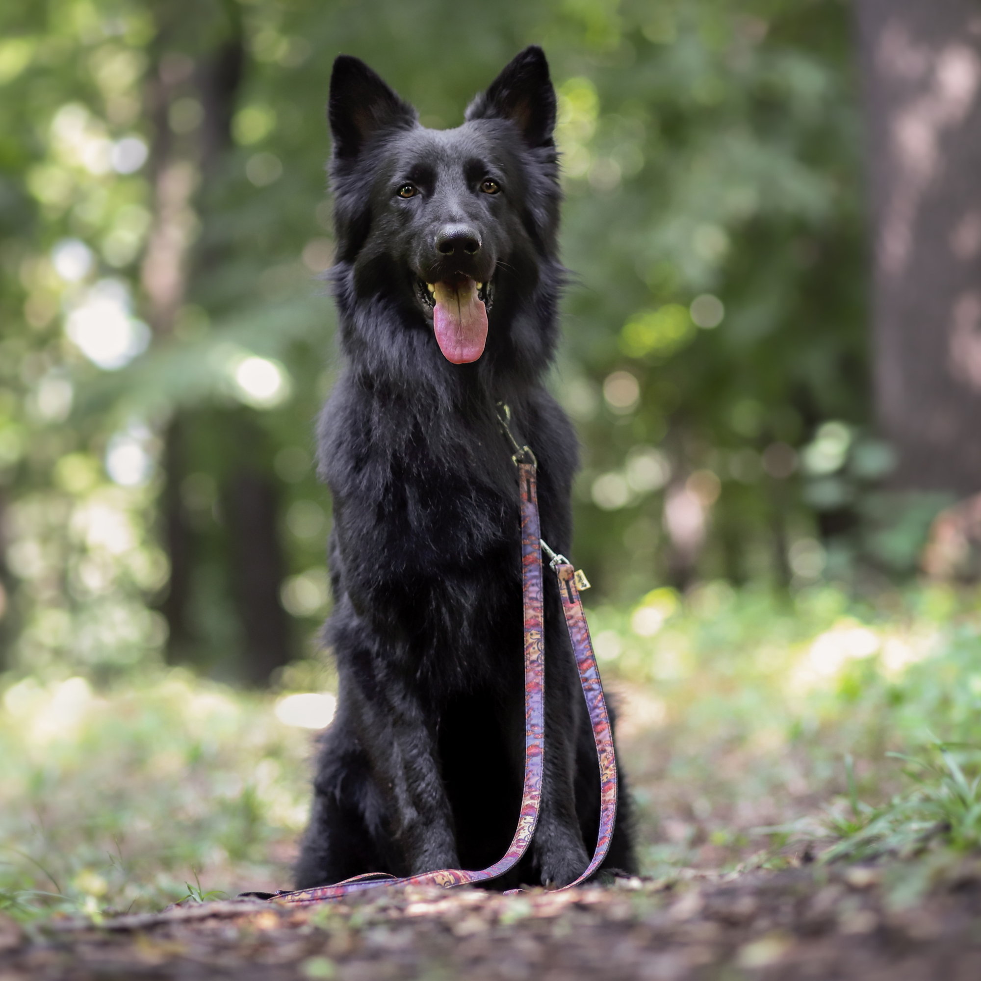 Lesă extensibilă America Indiana