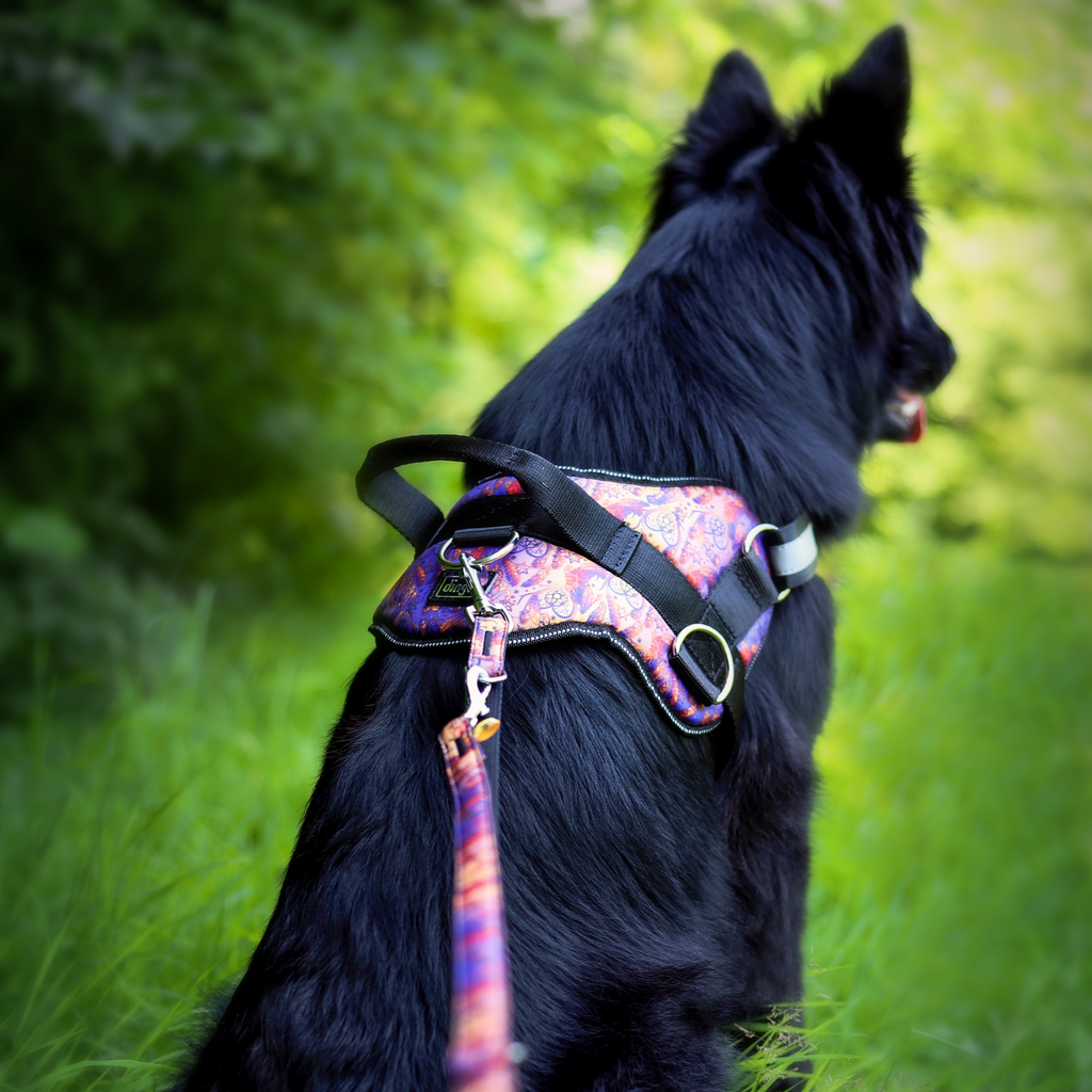 Lesă extensibilă America Indiana