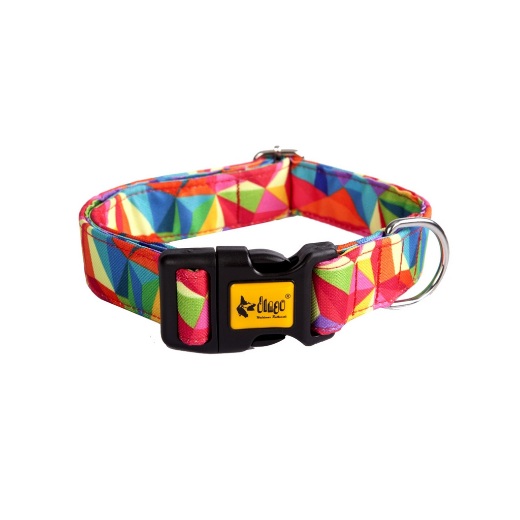 Zgardă pentru câine america