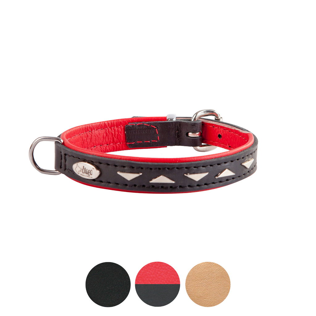 Zgardă decorativă exclusive