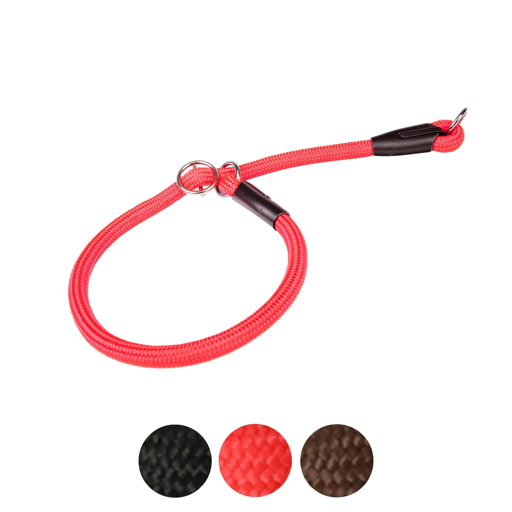 Zgardă strânsă pentru câine – șarpe