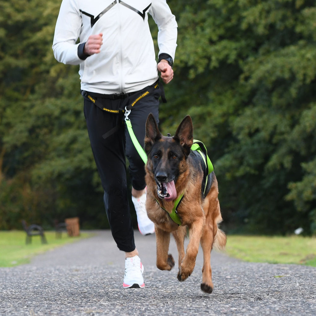 Centură de alergare 4 în 1