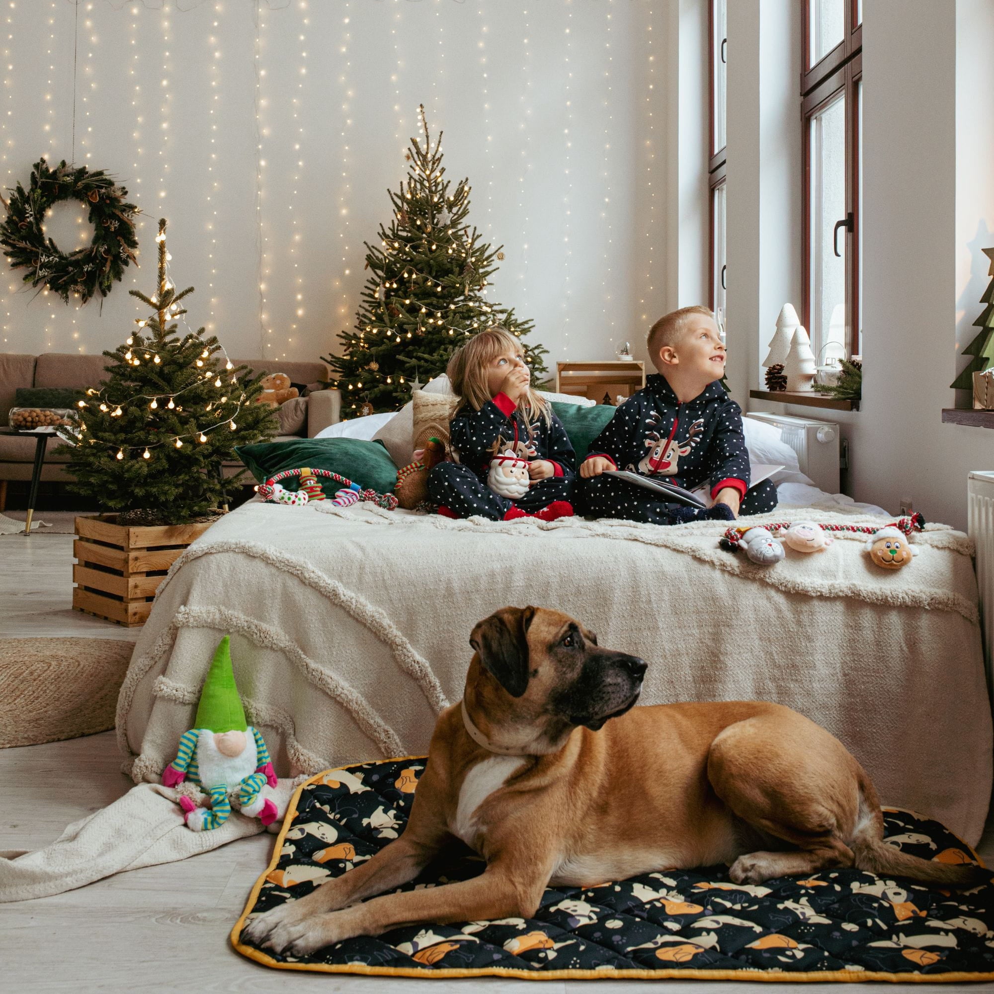 Culcuș plat pentru câini