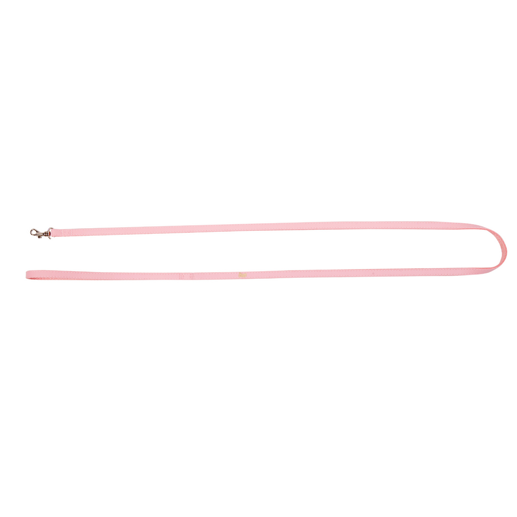 Lesă simplă pentru câini Basic