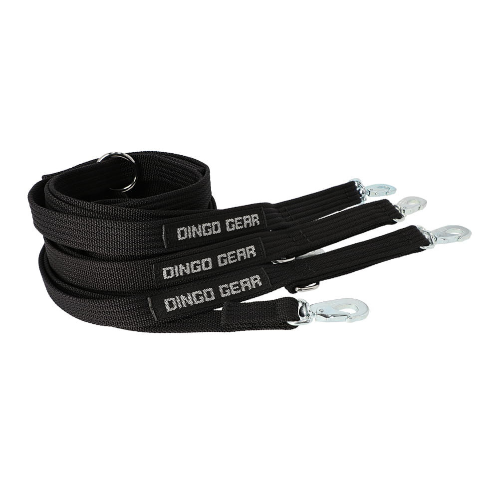 Dingo Gear - Lesă extensibilă WAŁECZEK din chingă de stylon, cu carabină BGB