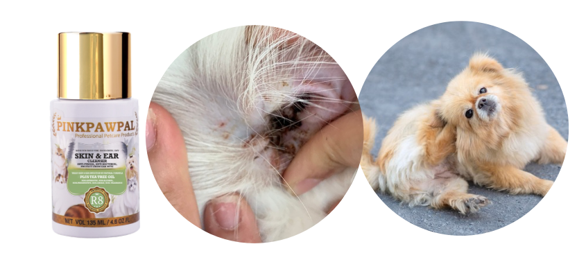Skin & Ear Cleanser - Soluție fără clătire pentru curățarea pielii și urechilor