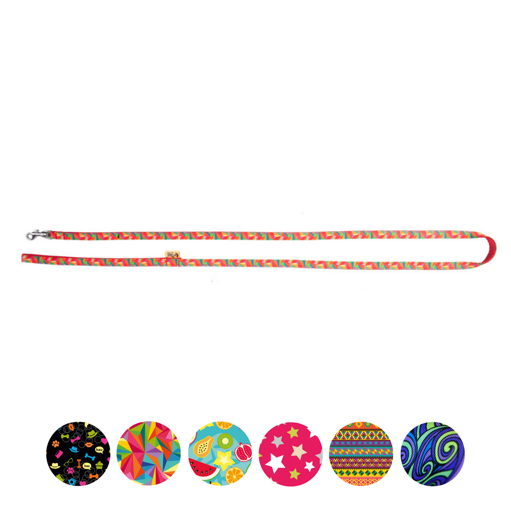 Lesă pentru câini de talie mică și pisici America