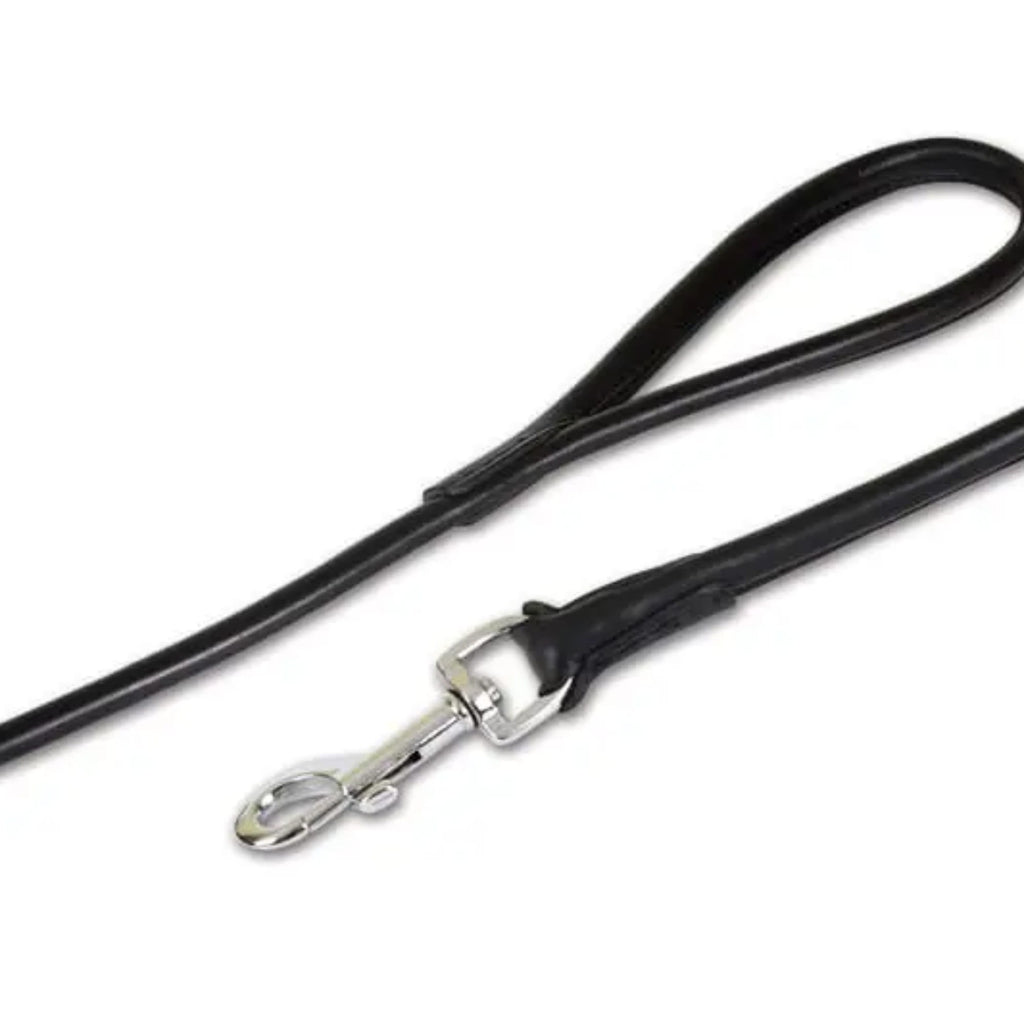 Lesă ovală pentru câini