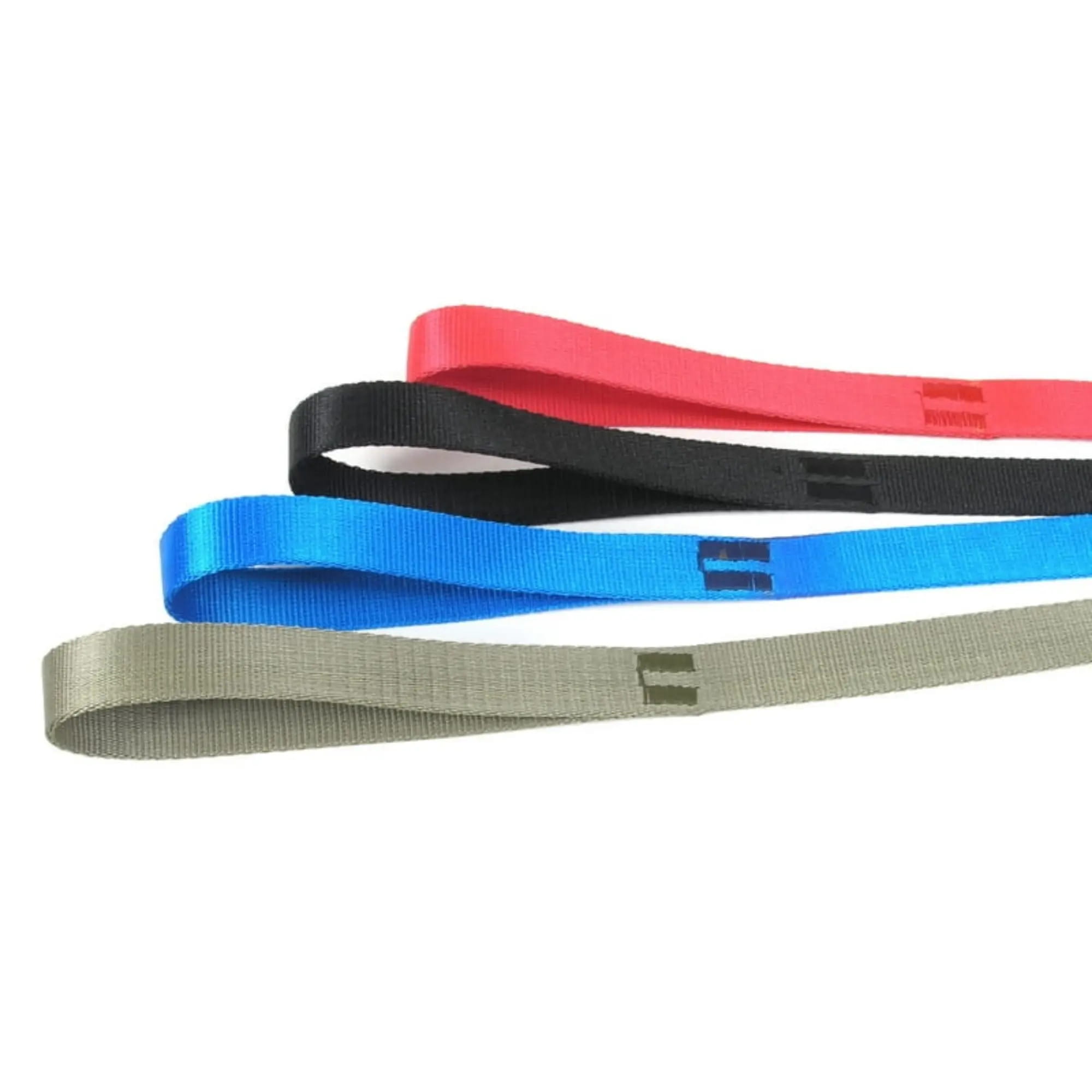 Lesă simplă pentru câini Tape