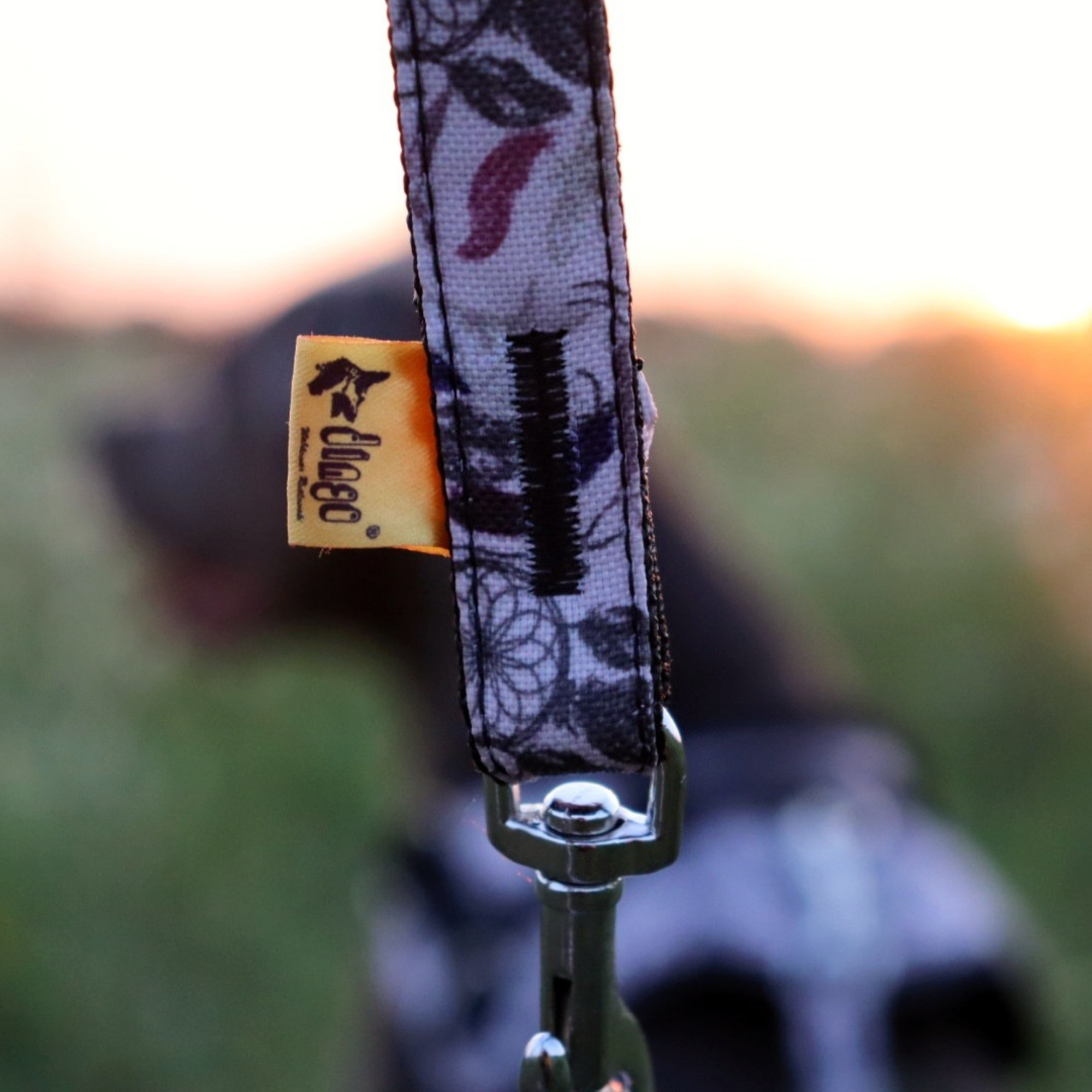 Lesă extensibilă America Georgia