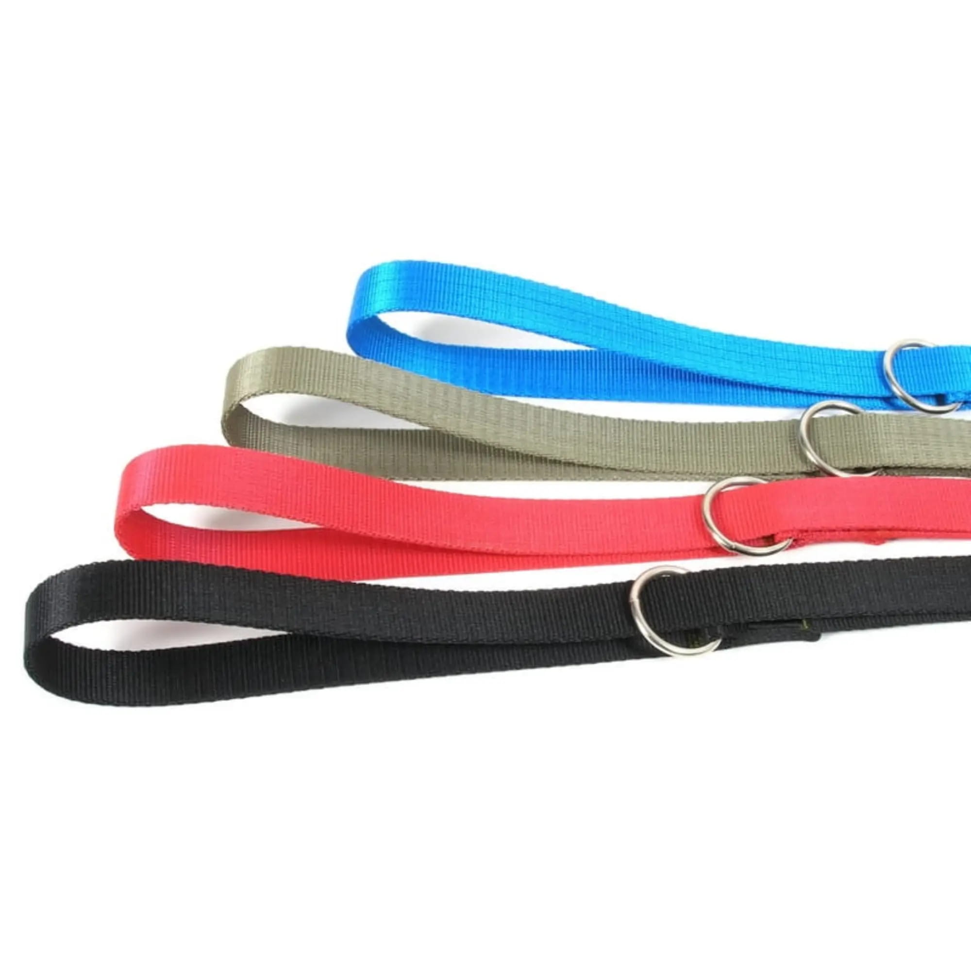 lesă extensibilă din bandă