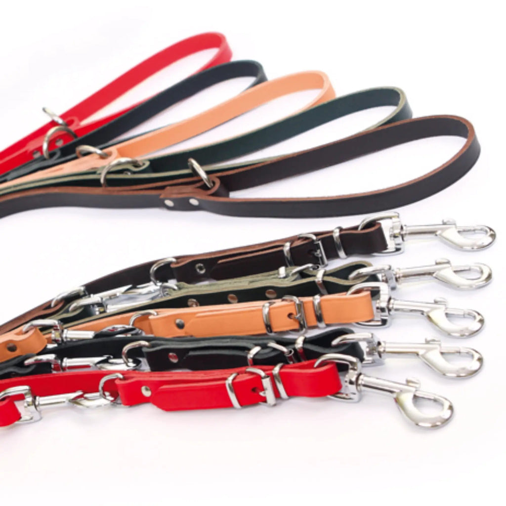 Lesă extensibilă cu nituri și carabină înlocuibilă