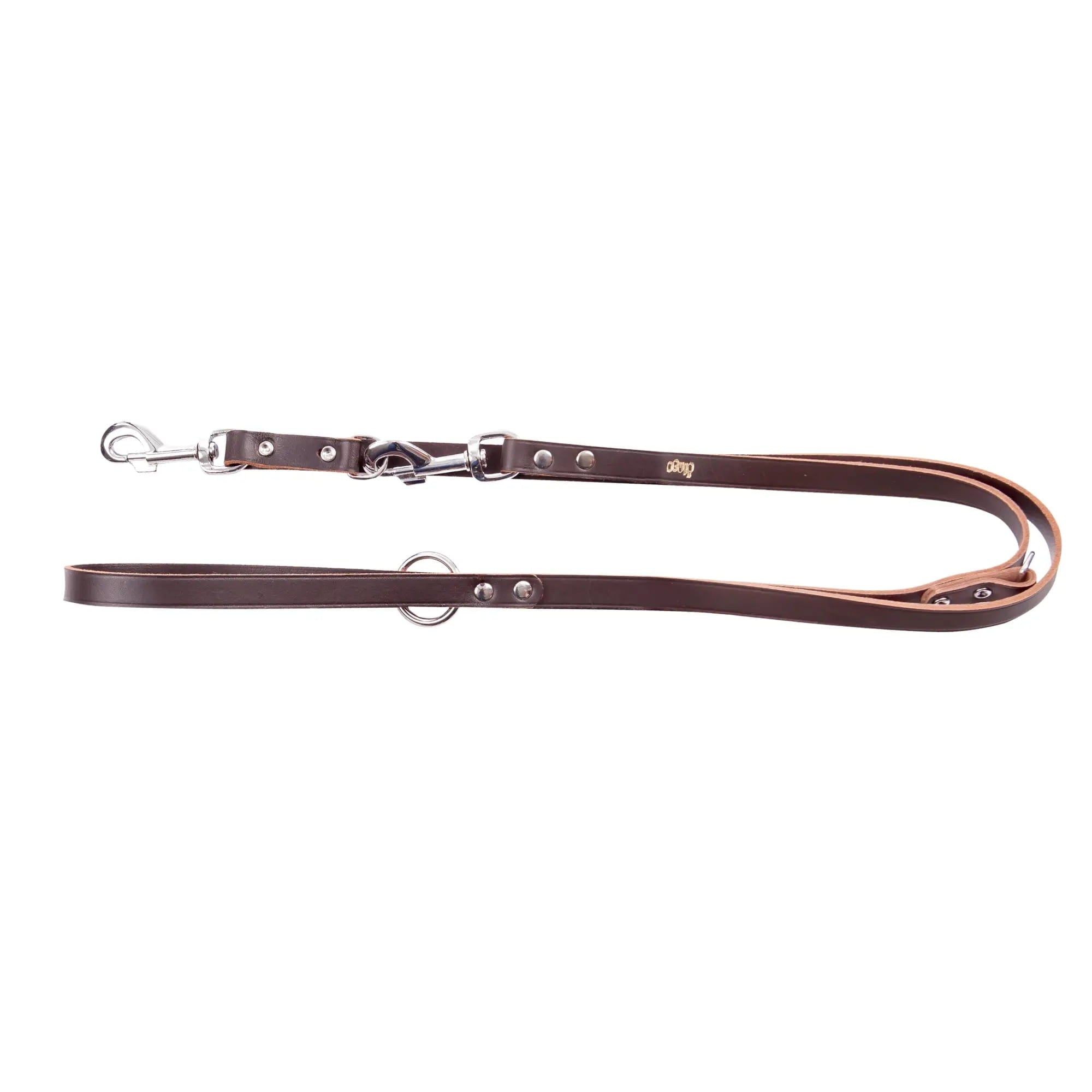 Lesă extensibilă cu nituri