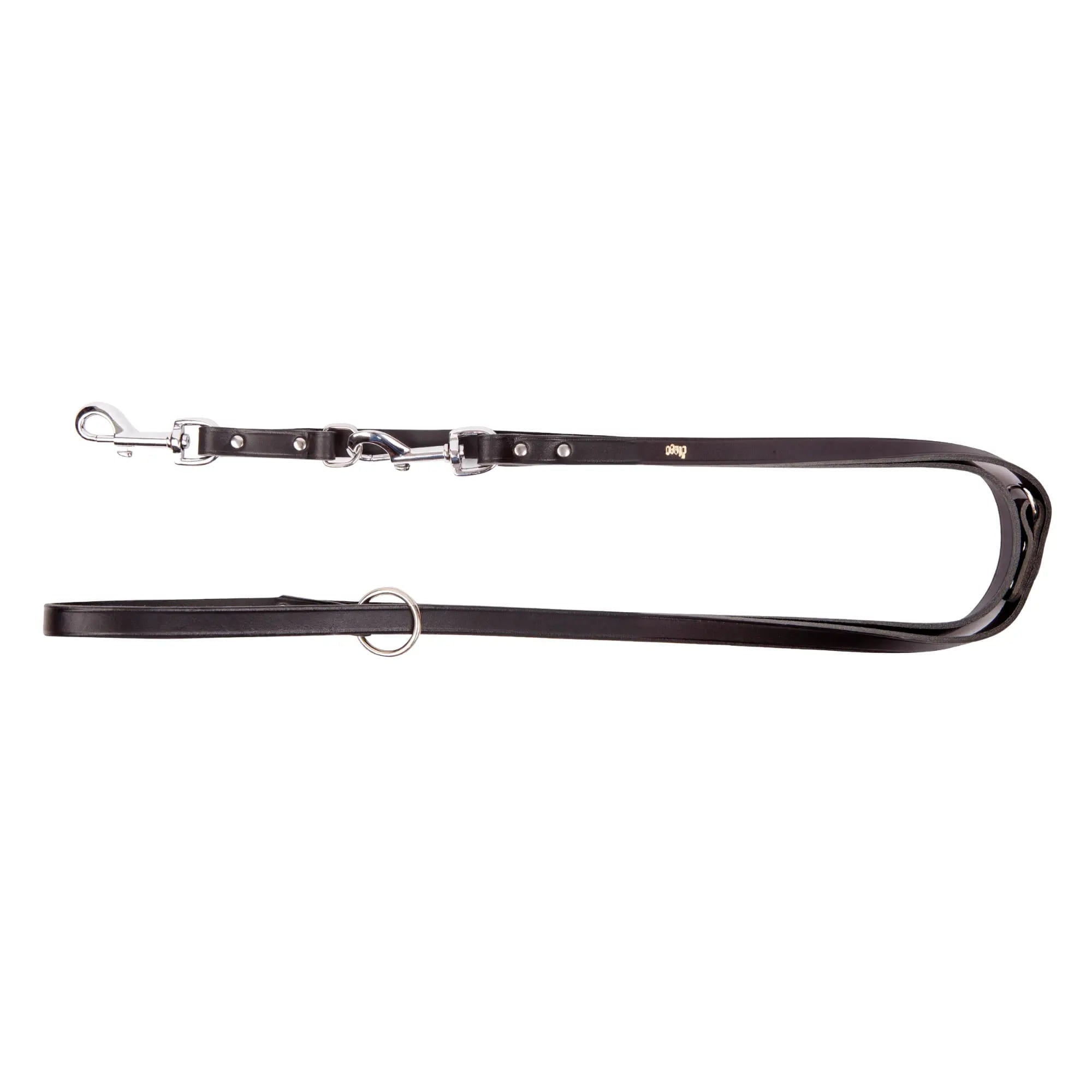 Lesă extensibilă cu nituri