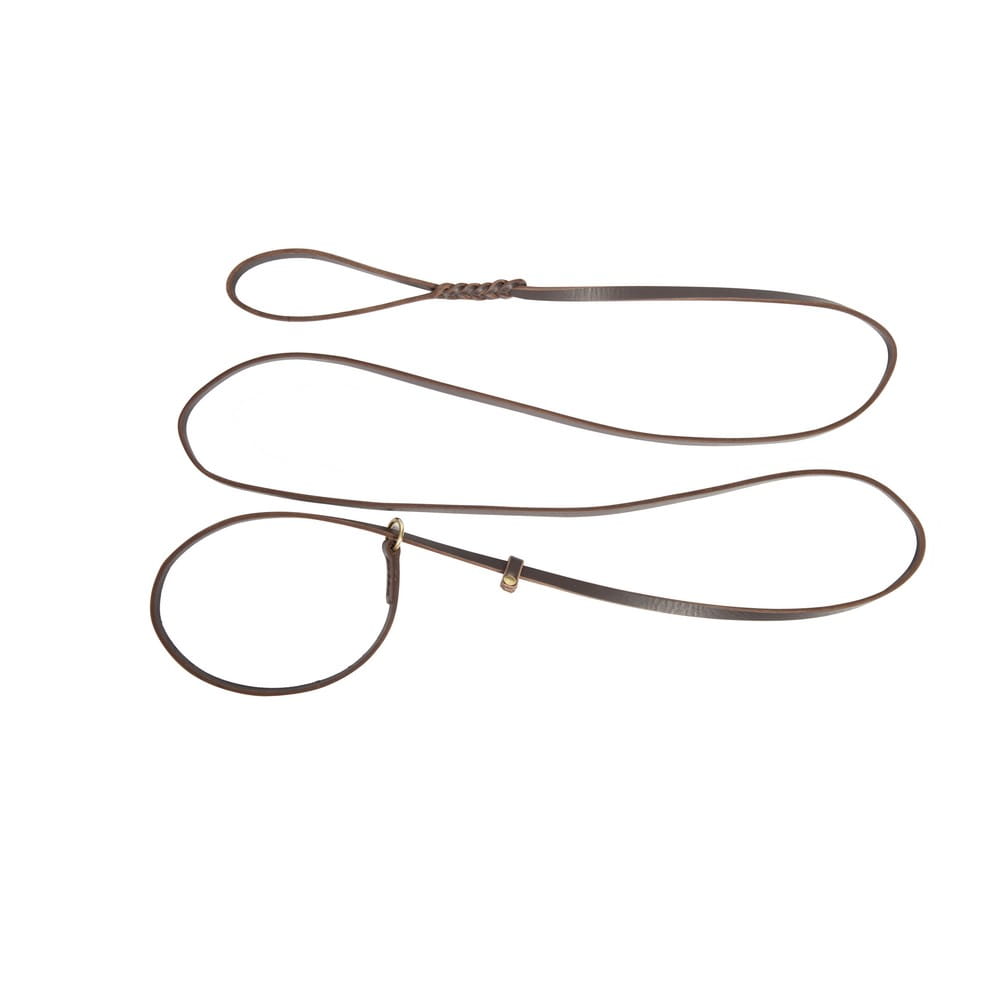 Dingo Gear – lesă din piele cu zgardă tip slip