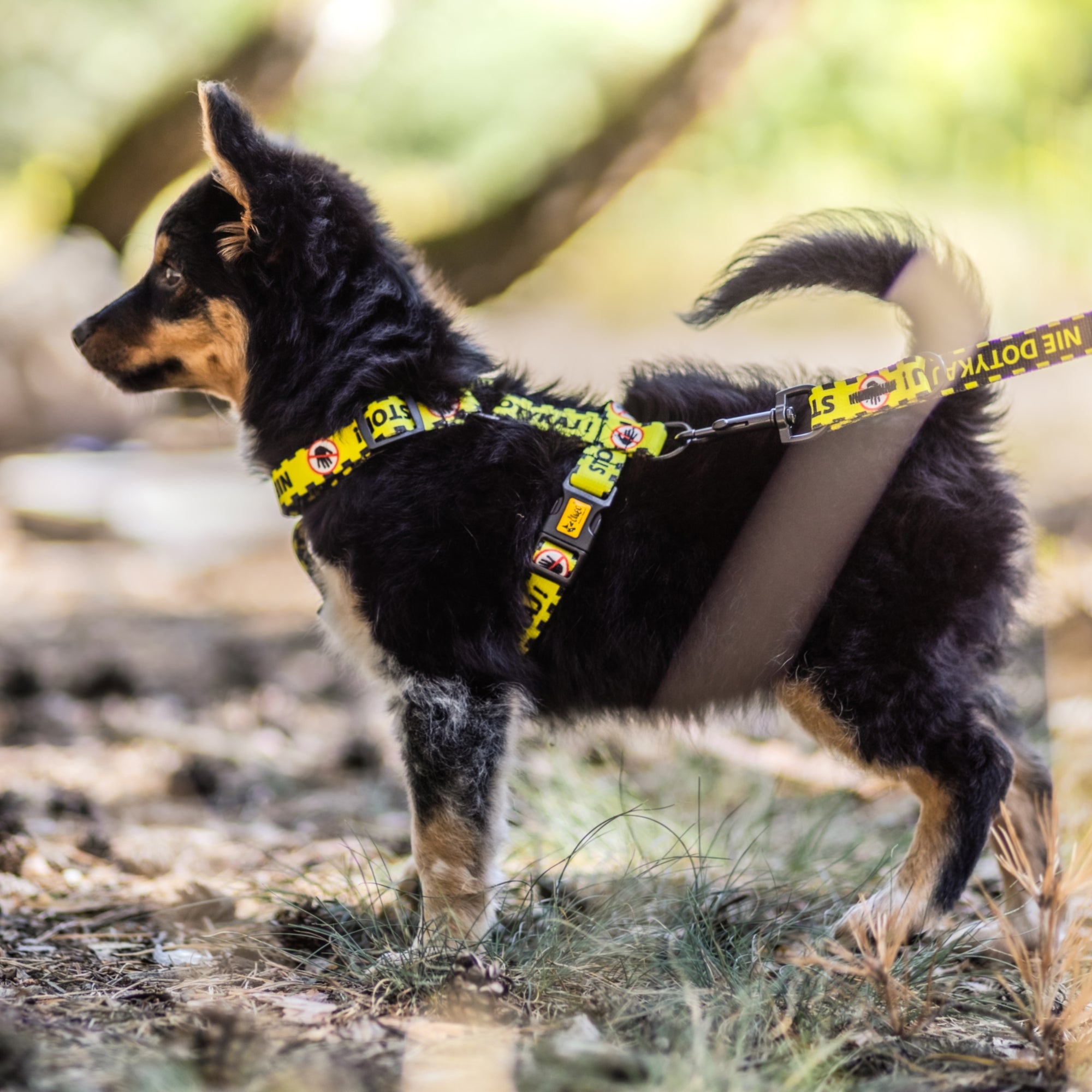 Ham galben pentru câini de pază NU ATINGEȚI