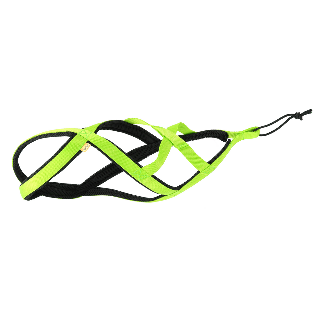 Ham de tracțiune pentru dogtrekking