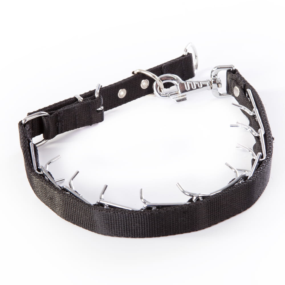 Dingo Gear – zgardă cu țepi ascunși, cu curea reglabilă