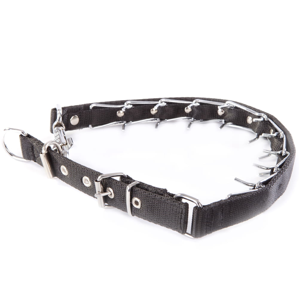 Dingo Gear – zgardă cu țepi ascunși, cu curea reglabilă