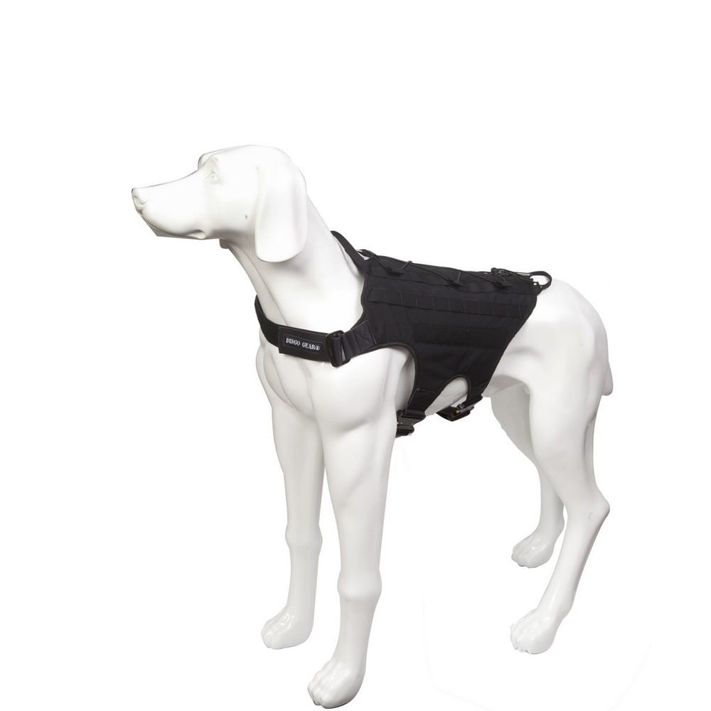 Dingo Gear – ham tactic pentru câini cu sistem MOLLE