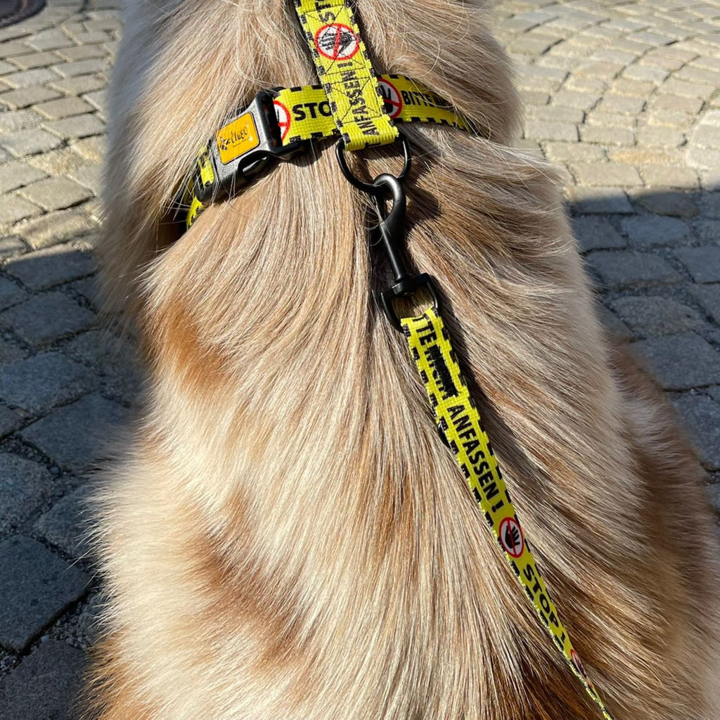 Lesă galbenă pentru câini Vă rugăm nu atingeți