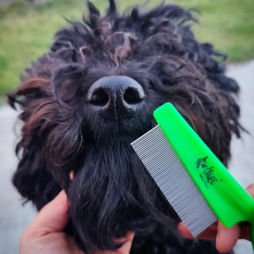 Pieptene antiparazitar