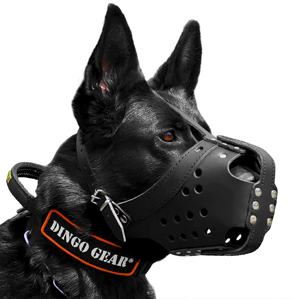 Dingo Gear – Botniță din piele pentru luptă și antrenament – durabilitate, confort, funcționalitate completă