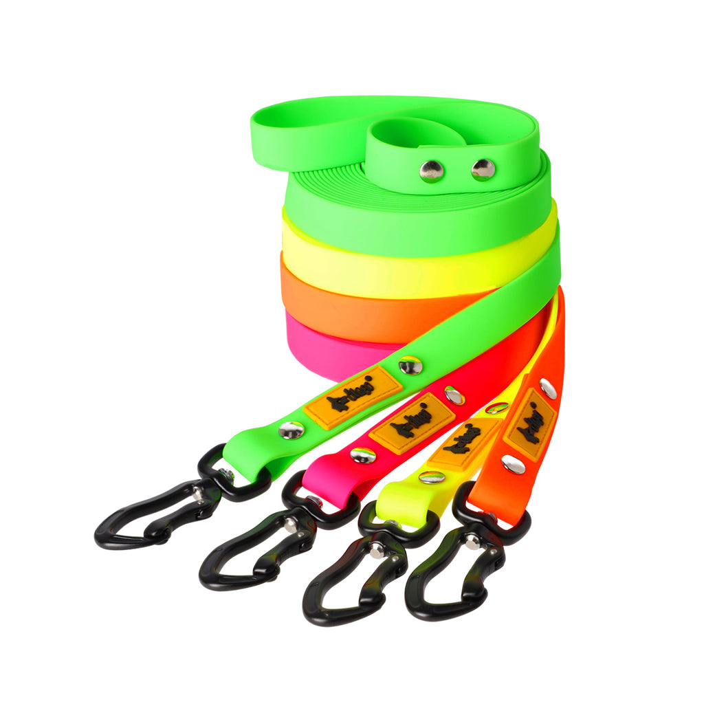 Training leash flex with handle