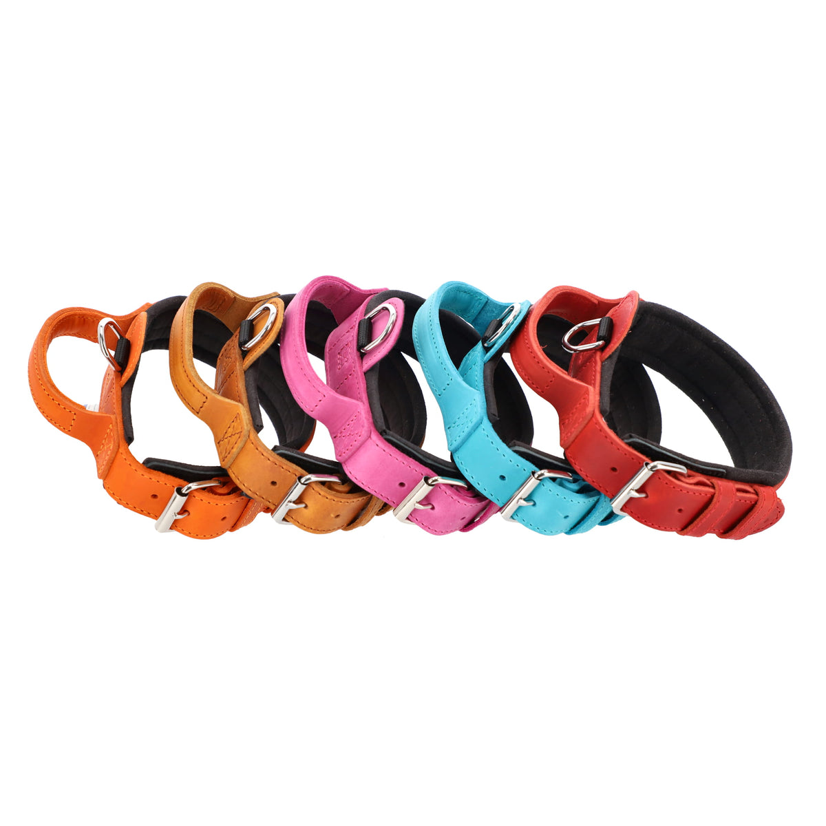 Dingo Gear – Zgardă DRAGO – precizie din piele în slujba dresajului profesional