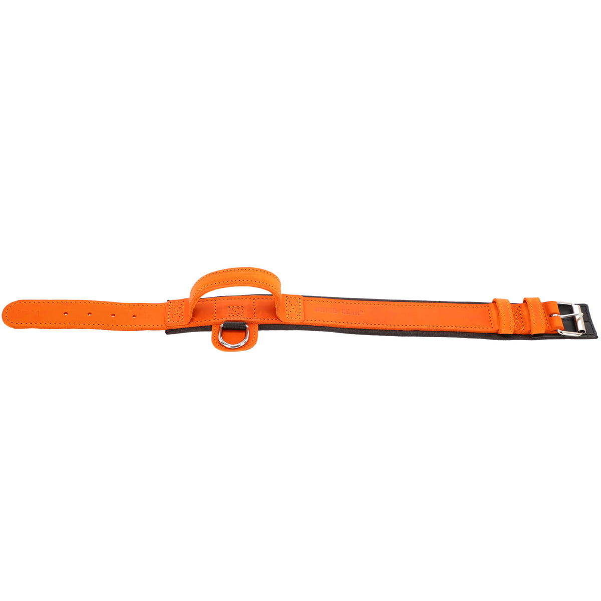 Dingo Gear – Zgardă DRAGO – precizie din piele în slujba dresajului profesional