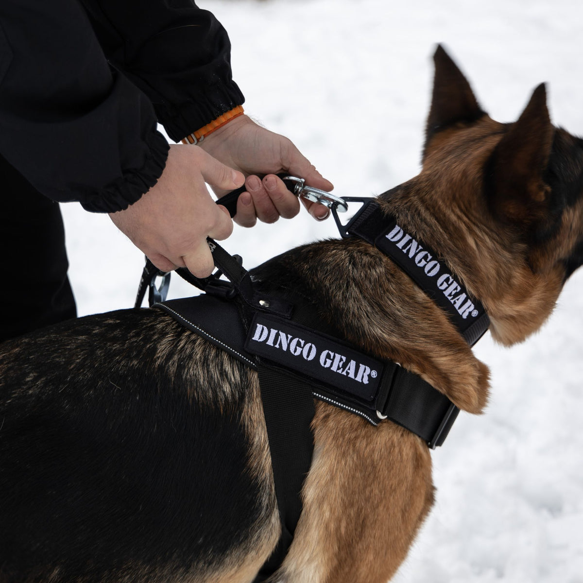 Dingo Gear – ham de lucru cu sistem COBRA