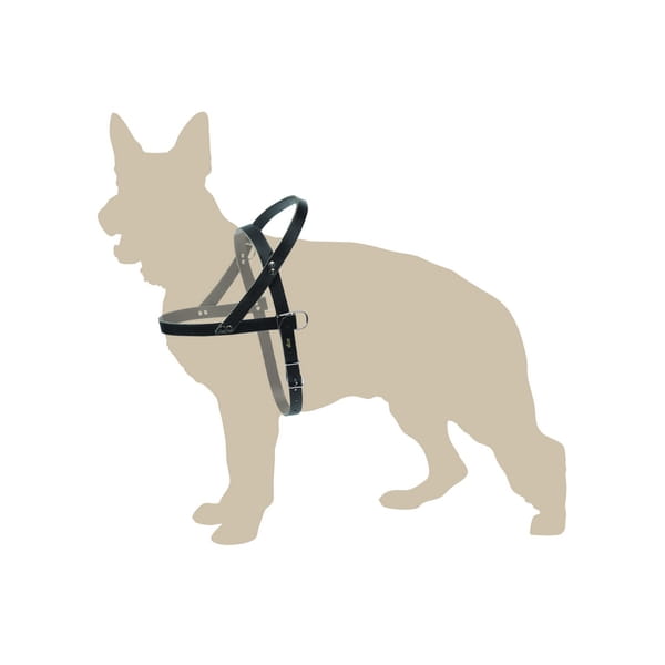 Ham pentru câini FINNISH