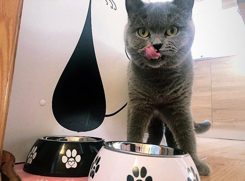 Bol metalic antiderapant FIBI