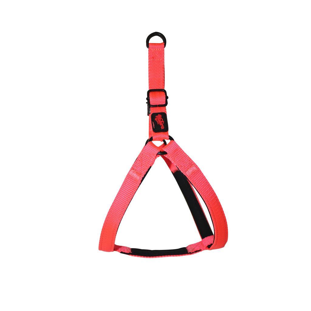 Ham Natura Basic Harness