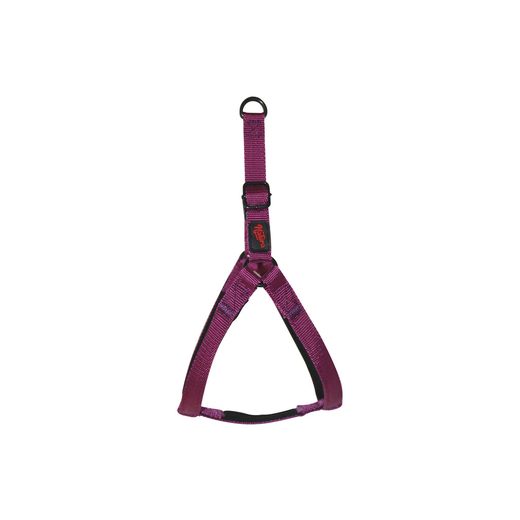 Ham Natura Basic Harness