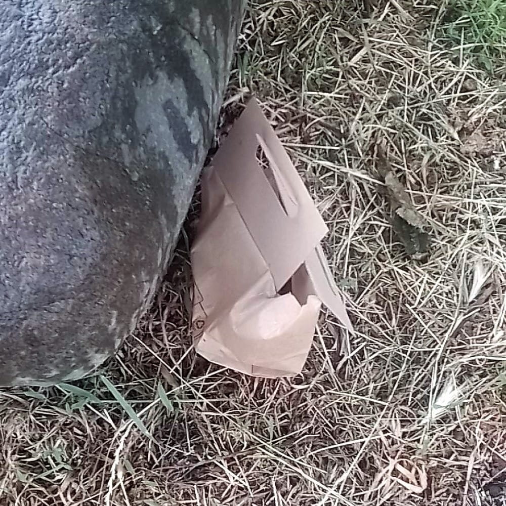 Pungi din hârtie pentru excremente